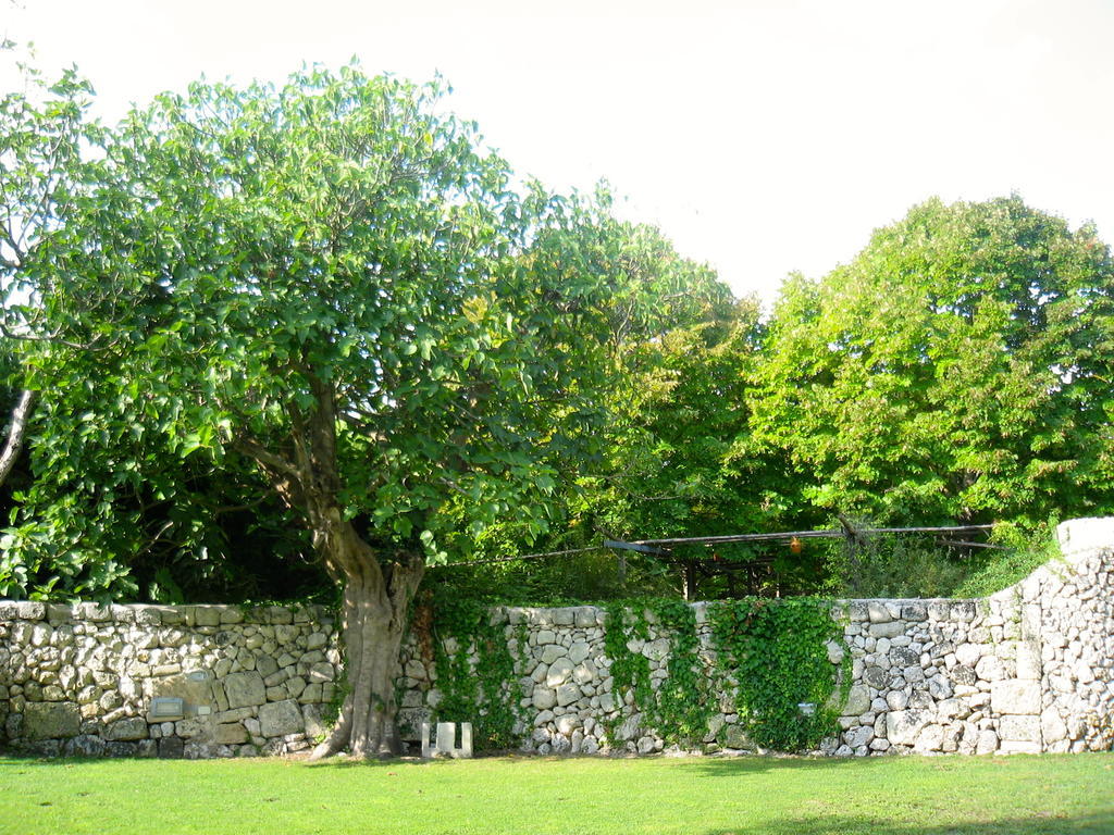 Tenuta Sant'Andrea Giuggianello Экстерьер фото